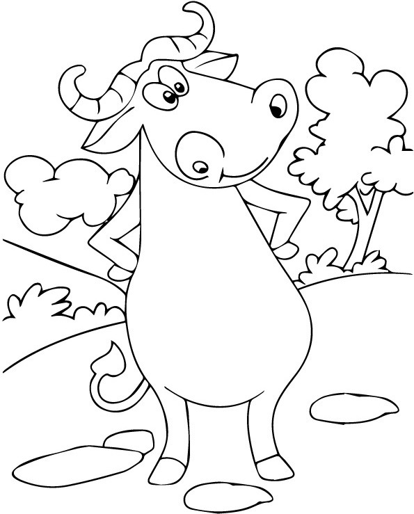 chu trau rung chau phi ngo nghinh