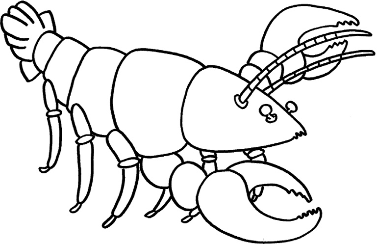 com tom hum cang e1599192522262