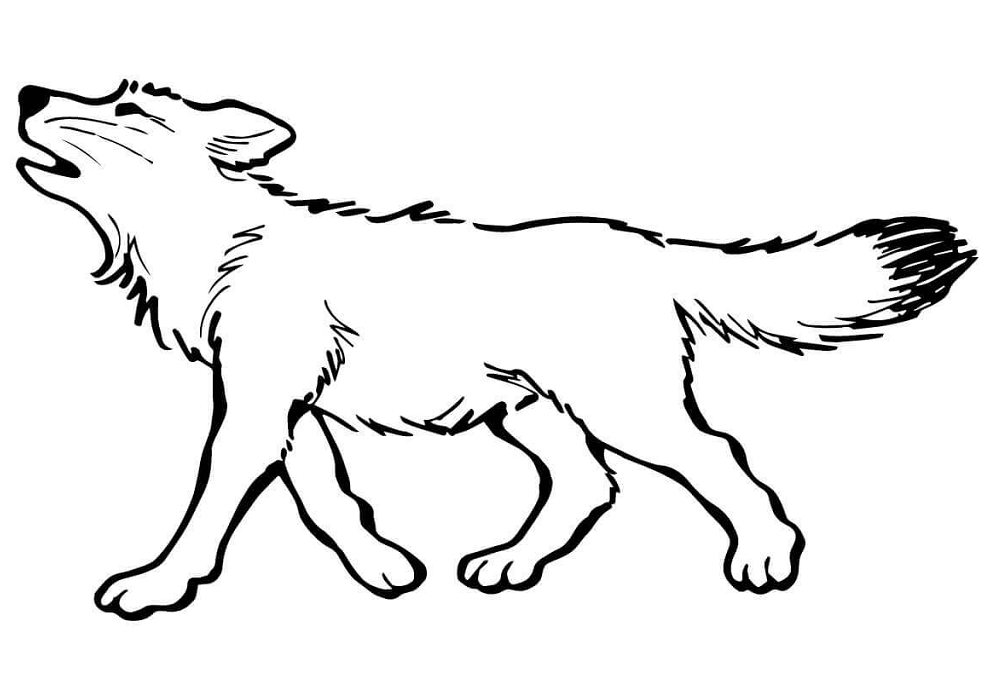 con cho soi dang hu e1599208325838