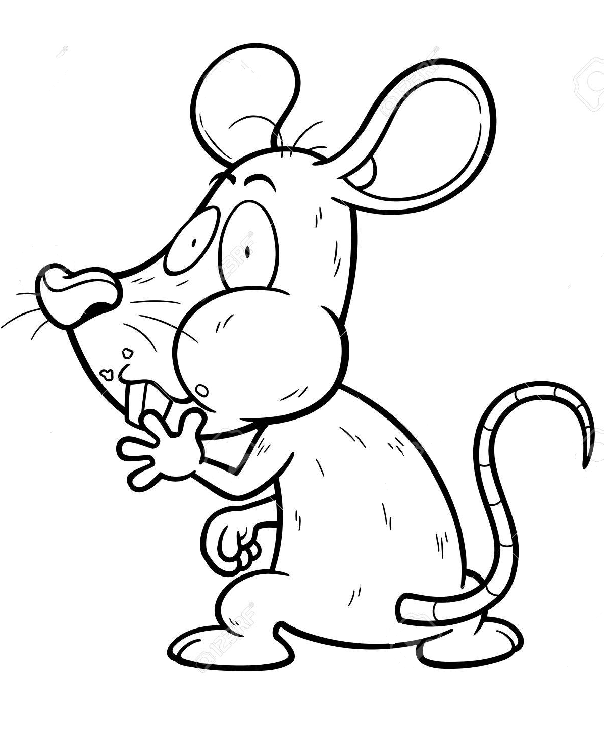 con chuot dang an vung