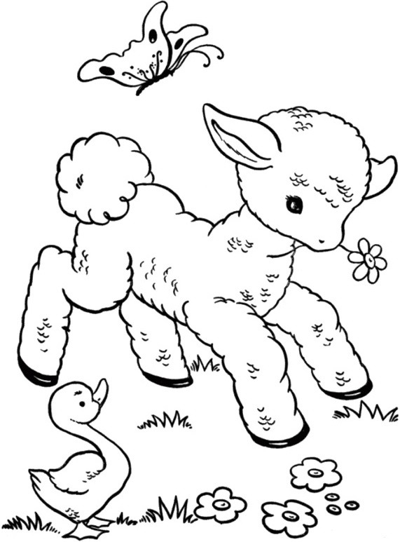 con cuu dang vui choi