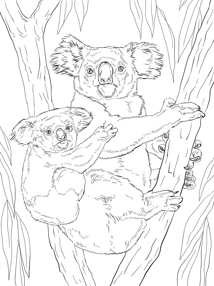 gau tui me cong con tren lung