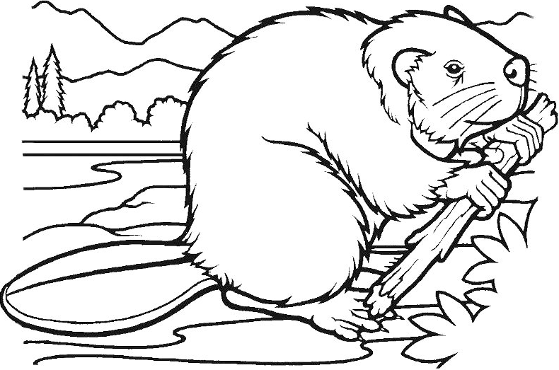 hai ly chau my dang an 1 e1599273817772