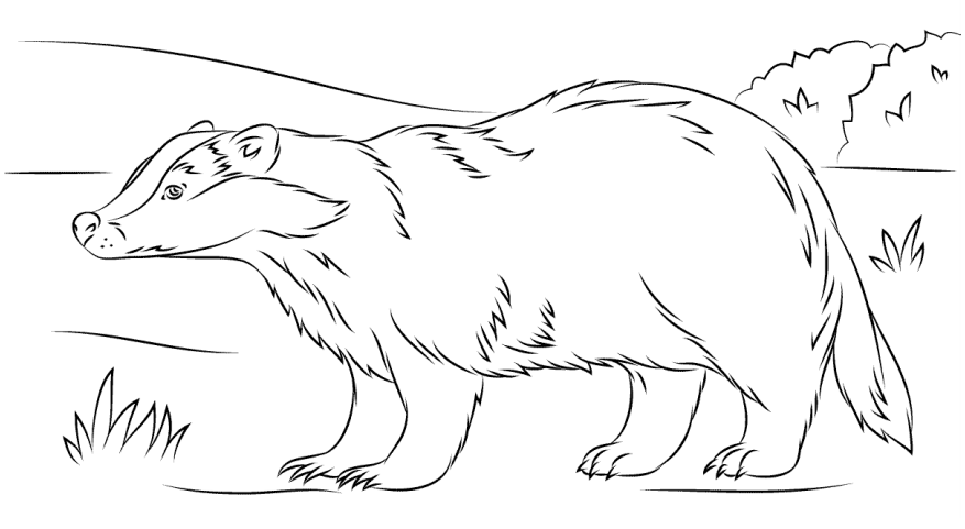 lung chau au e1599207312793