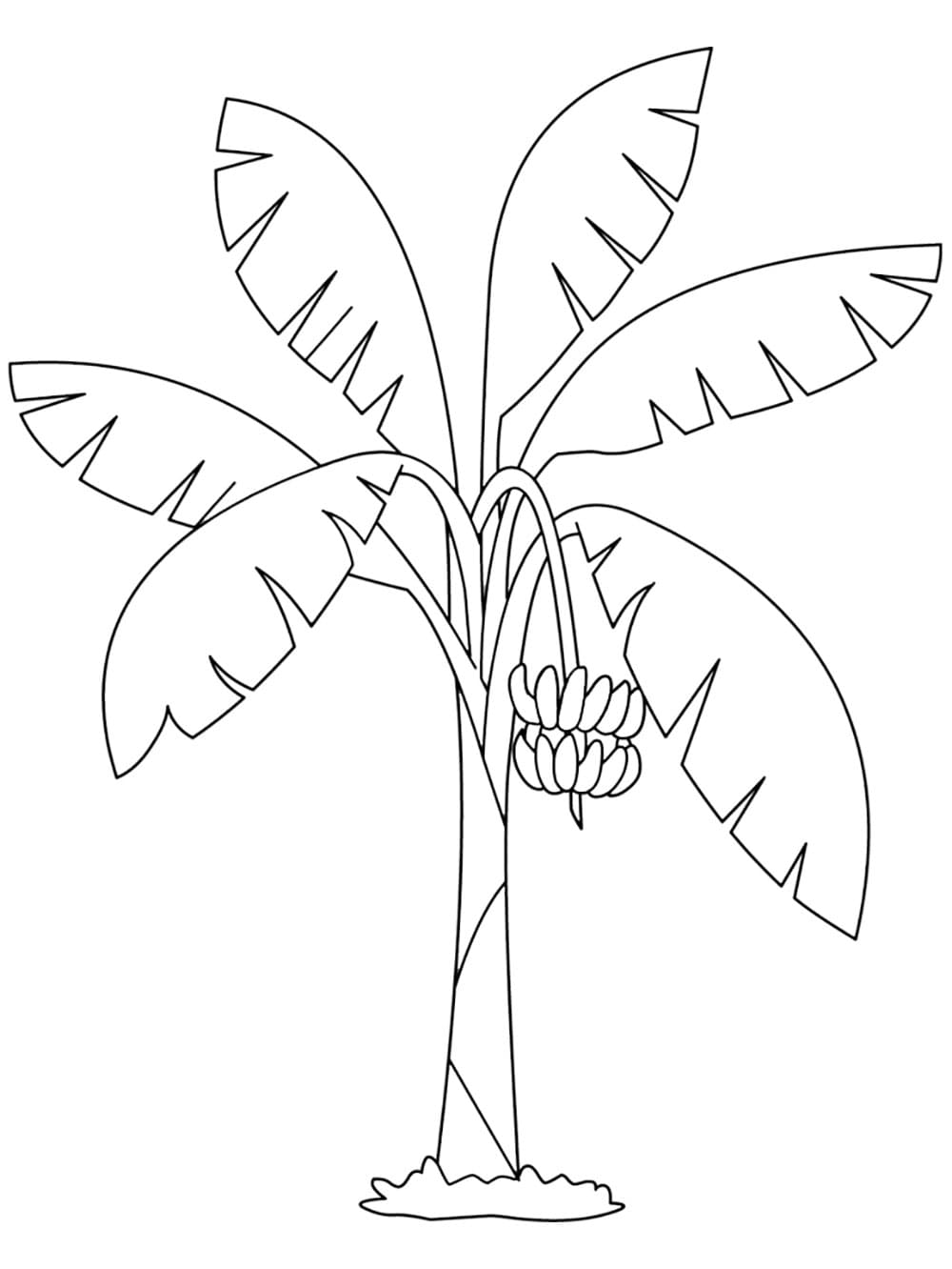 tranh to mau cay chuoi dep va don gian