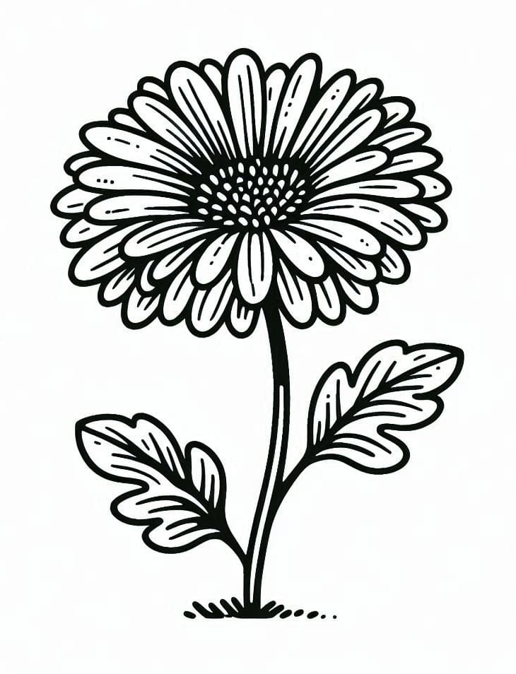 tranh to mau cay hoa dong tien