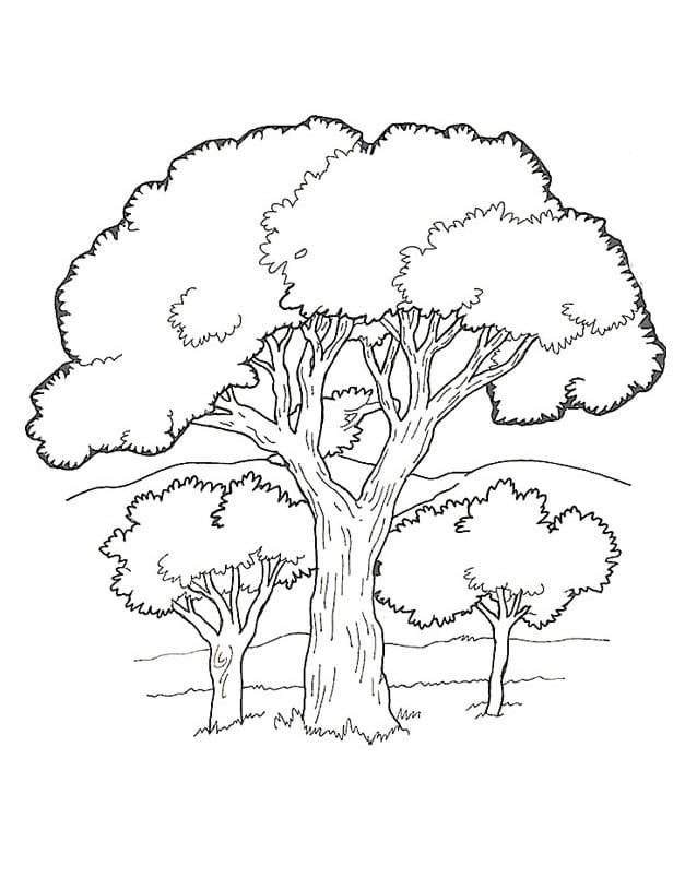 tranh to mau cay xanh trong rung