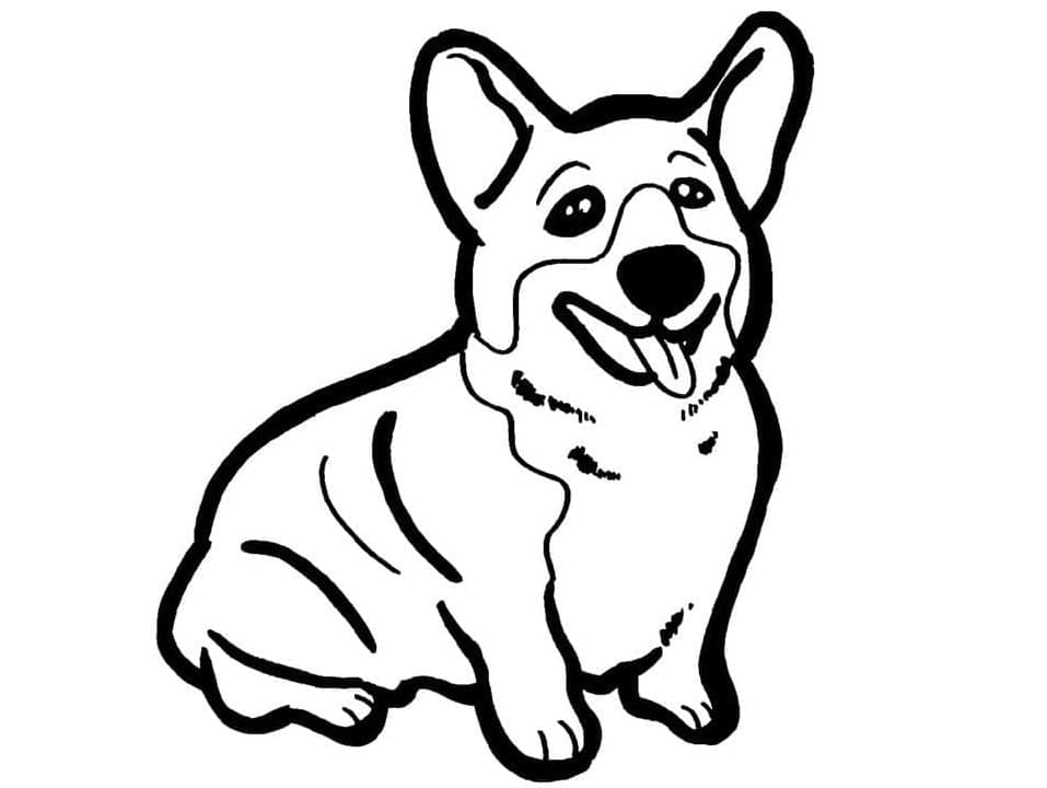 tranh to mau chu cho corgi