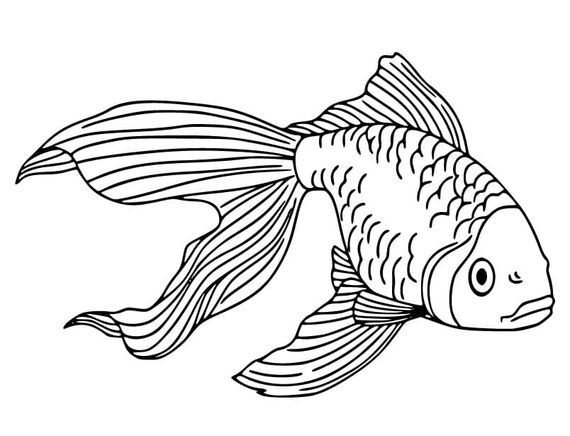 tranh to mau con ca vang dep