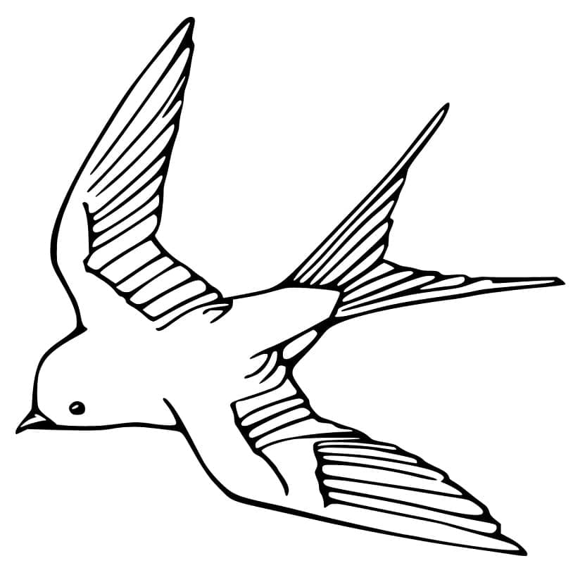 tranh to mau con chim en nho dang yeu