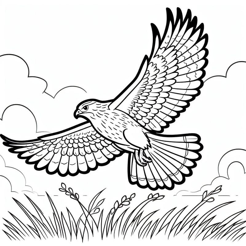 tranh to mau con chim ung bay