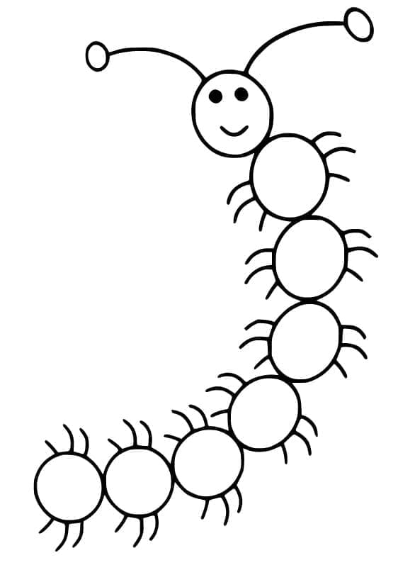 tranh to mau con ret cute don gian