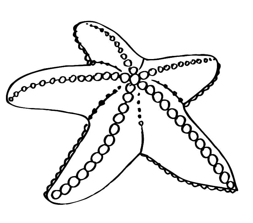 tranh to mau con sao bien lon