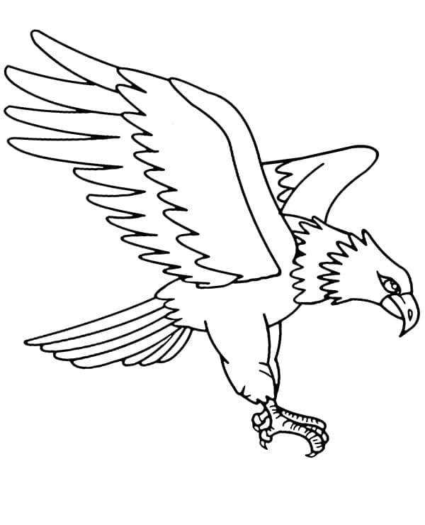 tranh to mau dai bang bay