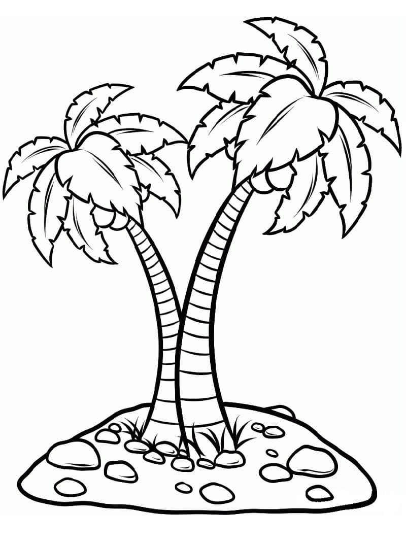 tranh to mau hai cay dua