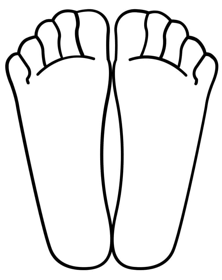 tranh to mau hinh ve hai ban chan don gian