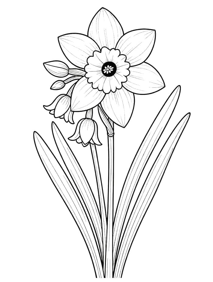 tranh to mau hoa thuy tien dep nhat