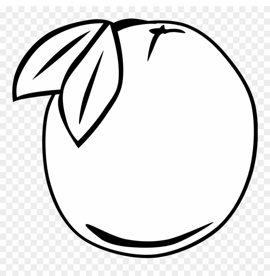 tranh to mau qua buoi don gian