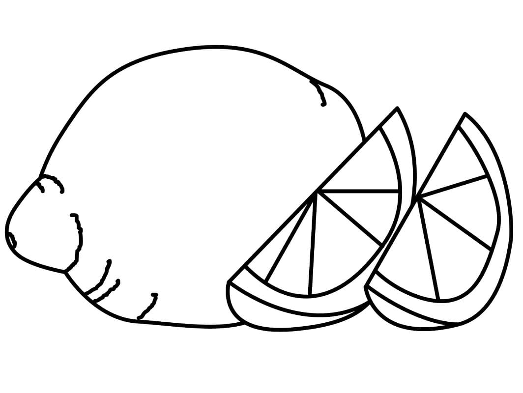 tranh to mau qua chanh va hai mieng chanh