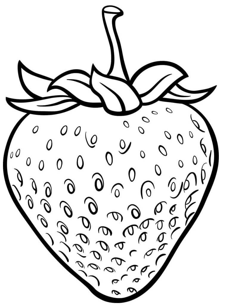 tranh to mau qua dau tay