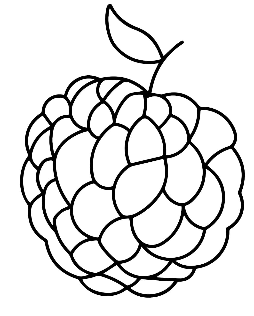 tranh to mau qua mang cau don gian