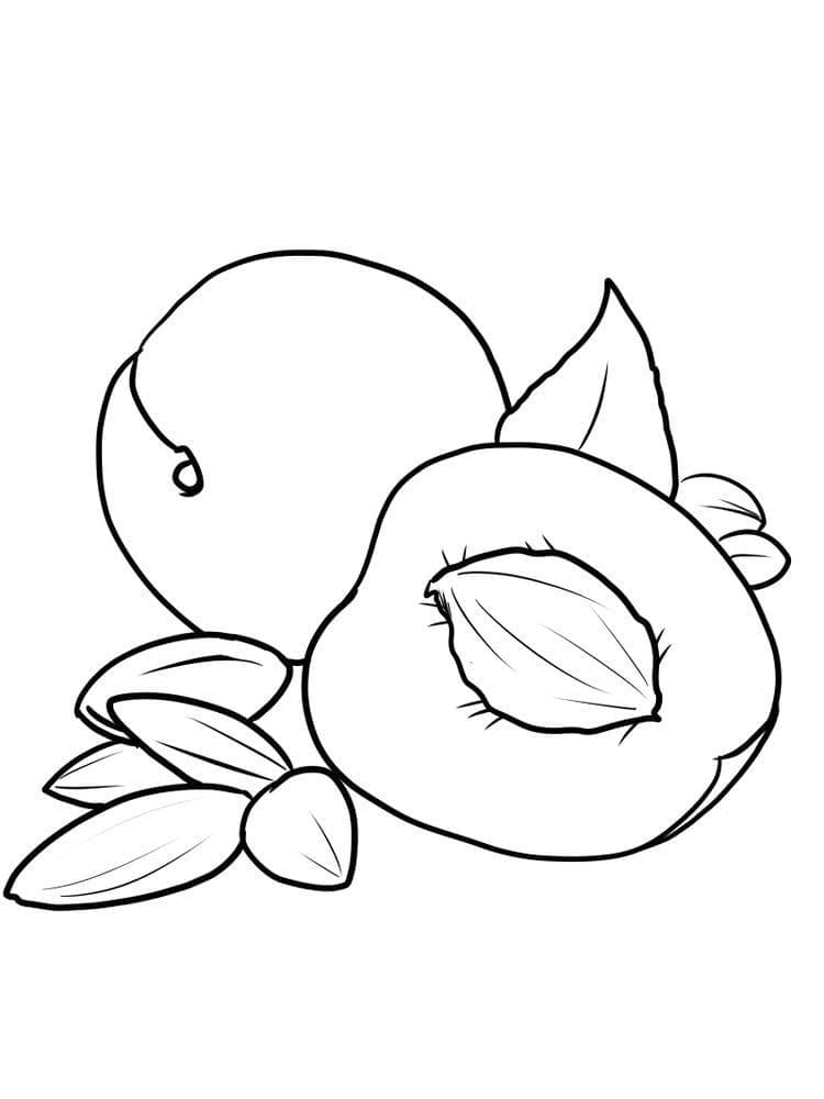 tranh to mau qua mo va hat