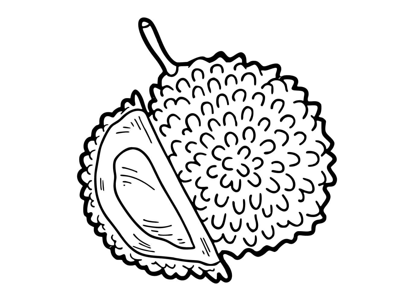 tranh to mau qua sau rieng don gian