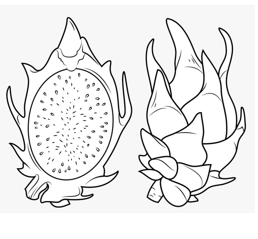 tranh to mau qua thanh long 4