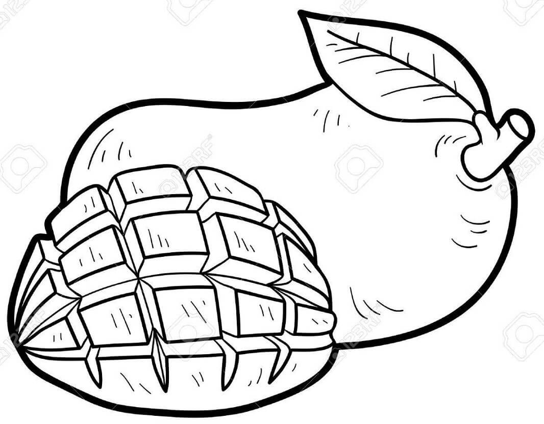 tranh to mau qua xoai va mieng