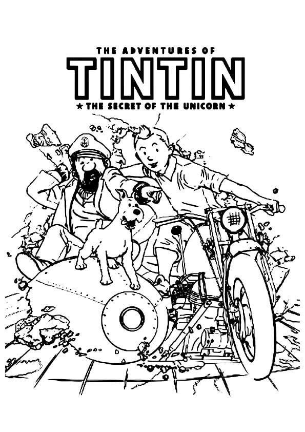 tranh to mau tintin phieu luu