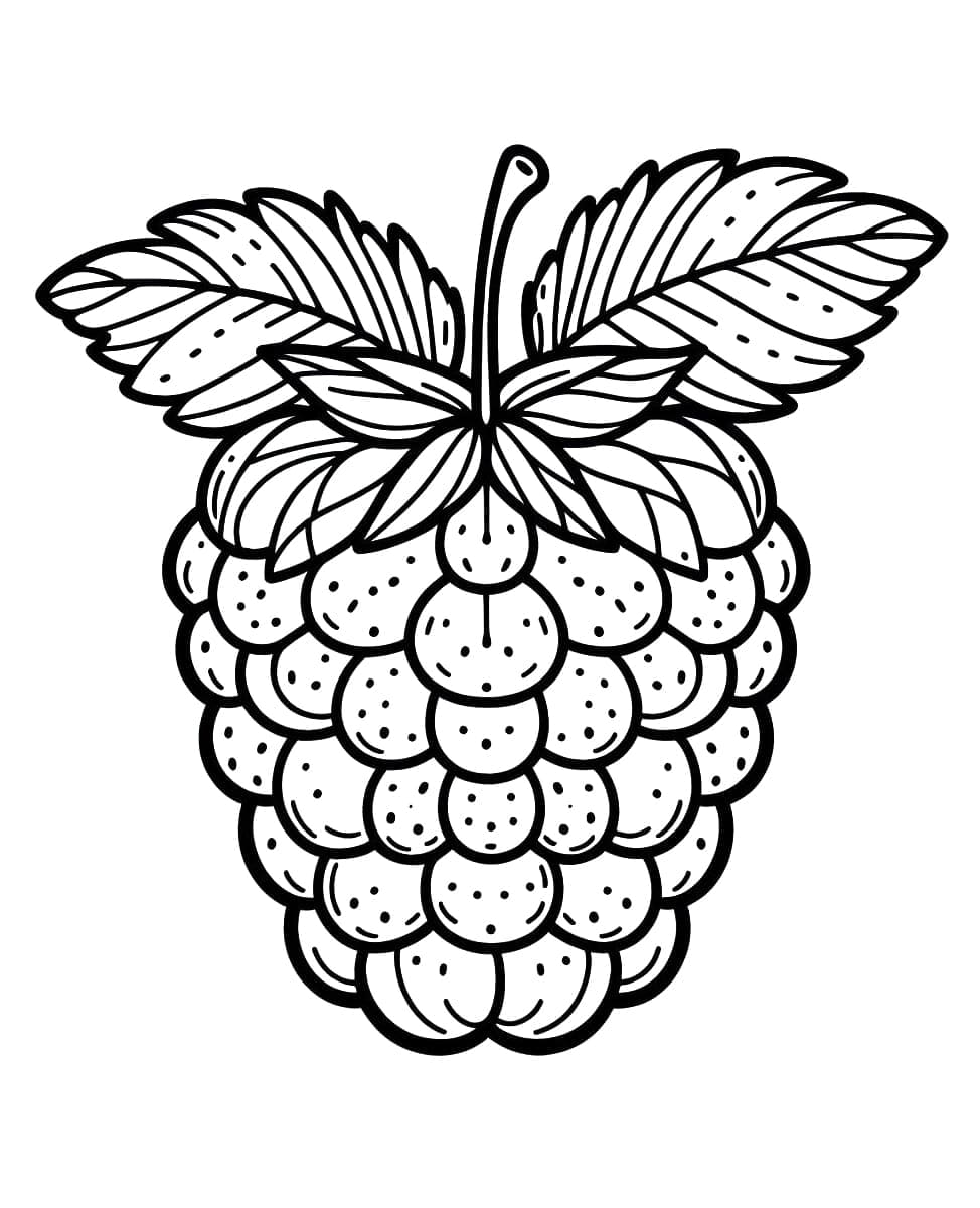 tranh to mau trai mam xoi nho 6