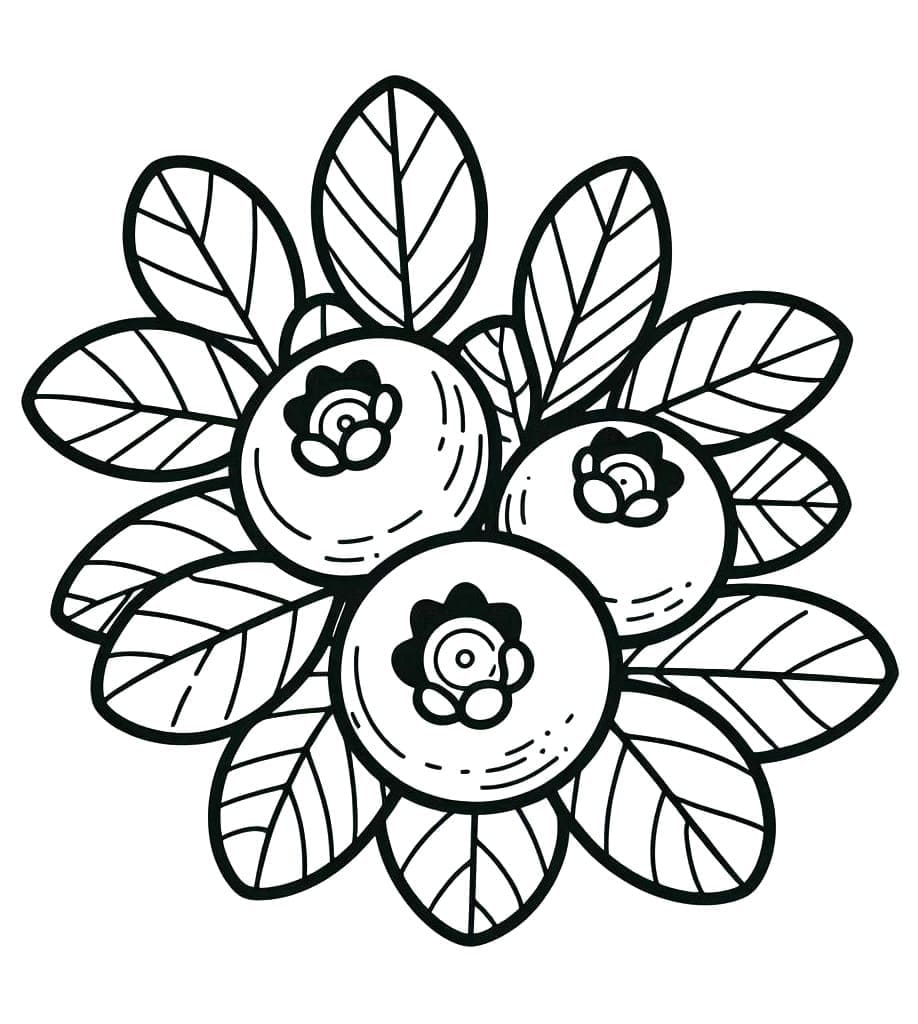 tranh to mau viet quat