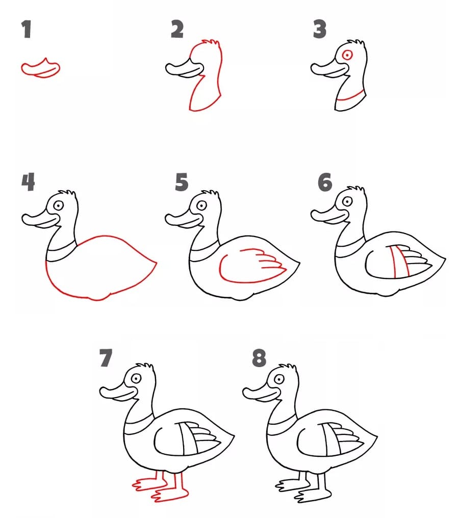 ve con vit ngo nghinh